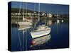 Port St. Mary, Isle of Man, United Kingdom, Europe-Maxwell Duncan-Stretched Canvas