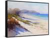 Port Stephans Beach Sands-Graham Gercken-Framed Stretched Canvas