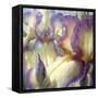 Port Townsend Garden-Elizabeth Horning-Framed Stretched Canvas