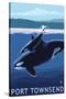 Port Townsend, WA - Orca & Calf-Lantern Press-Stretched Canvas