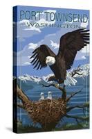 Port Townsend, Washington - Bald Eagle and Chicks-Lantern Press-Stretched Canvas