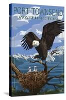 Port Townsend, Washington - Bald Eagle and Chicks-Lantern Press-Stretched Canvas