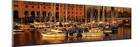 Port Vell and Catalan History Museum Barcelona Spain-null-Mounted Photographic Print
