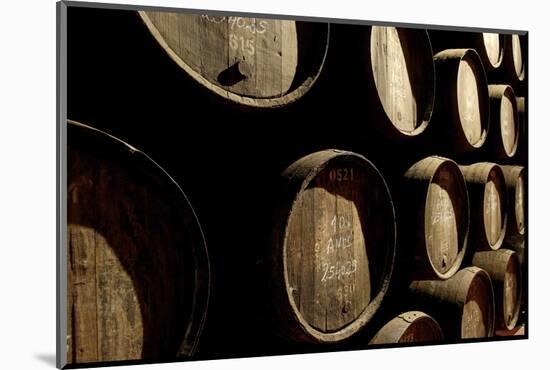 Port Wine Cellar, Vila Nova De Gaia, Oporto, Portugal, Europe-Jean-Pierre De Mann-Mounted Photographic Print