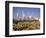 Port, Yokohama, Japan-Adina Tovy-Framed Photographic Print