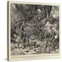 Portable Cycles in the Austro-Hungarian Army-Frank Dadd-Stretched Canvas