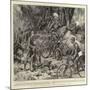 Portable Cycles in the Austro-Hungarian Army-Frank Dadd-Mounted Giclee Print