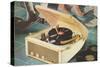 Portable Record Player-null-Stretched Canvas