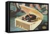 Portable Record Player-Found Image Press-Framed Stretched Canvas