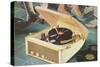 Portable Record Player-Found Image Press-Stretched Canvas