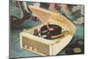Portable Record Player-Found Image Press-Mounted Giclee Print