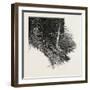 Portaging a Boat, the Practice of Carrying a Water Craft, Canada, Nineteenth Century-null-Framed Giclee Print