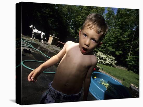 Portait of 4 Year Old Boy, Woodstock, New York, USA-Paul Sutton-Stretched Canvas