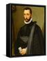 Portait of a Gentleman, 1575-Michele Di Ridolfo Tosini-Framed Stretched Canvas