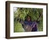 Portait of Local Girl Carrying a Large Bundle of Wheat and Yellow Meskel Flowers, Ethiopia-Gavin Hellier-Framed Photographic Print