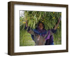 Portait of Local Girl Carrying a Large Bundle of Wheat and Yellow Meskel Flowers, Ethiopia-Gavin Hellier-Framed Photographic Print