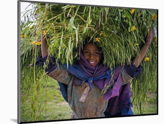 Portait of Local Girl Carrying a Large Bundle of Wheat and Yellow Meskel Flowers, Ethiopia-Gavin Hellier-Mounted Photographic Print