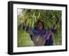 Portait of Local Girl Carrying a Large Bundle of Wheat and Yellow Meskel Flowers, Ethiopia-Gavin Hellier-Framed Photographic Print