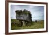 Portal-Grave known as the Lobby-CM Dixon-Framed Photographic Print