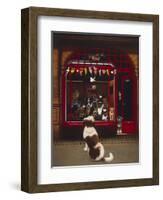 Portal Pet Show, 1993-Frances Broomfield-Framed Giclee Print