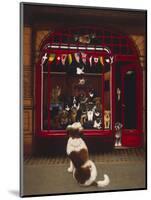 Portal Pet Show, 1993-Frances Broomfield-Mounted Giclee Print