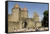 Porte D'Aude Through Outer Wall of Old City-Tony Waltham-Framed Stretched Canvas