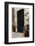 Porte d'Ete-Joane Mcdermott-Framed Art Print