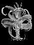 Just the Print
