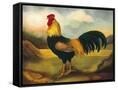 Canvas Black