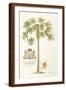 Brown Frame