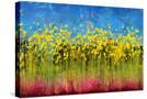 Stretched Canvas
