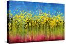 Stretched Canvas