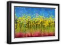 Black Frame
