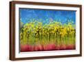 Brown Frame