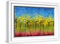 White Frame