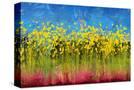 Stretched Canvas