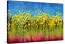 Stretched Canvas