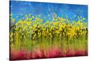 Stretched Canvas