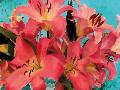 Laminate