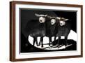 Brown Frame