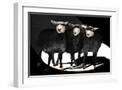 White Frame