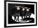 Gramercy Black