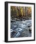 Porter's Creek I-Danny Head-Framed Photographic Print