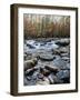 Porter's Creek II-Danny Head-Framed Photographic Print