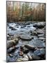 Porter's Creek II-Danny Head-Mounted Photographic Print