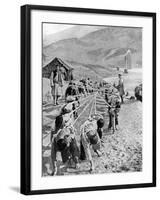 Porters in Tibet, 1936-null-Framed Giclee Print