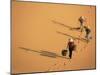 Porters, Mui Ne, Vietnam, Indochina, Southeast Asia, Asia-Colin Brynn-Mounted Photographic Print