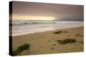 Porth Neigwl, Hell's Mouth, Llyn Peninsula, Gwynedd, Wales, United Kingdom, Europe-Alan Copson-Stretched Canvas