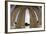 Portico Columns on the Supreme Court Building in Washington, DC-Paul Souders-Framed Photographic Print