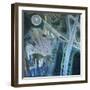 Portland Ballet-Erin McGee Ferrell-Framed Art Print